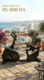 الدراجة شبه المستلقية Greenwich R