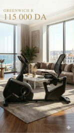 الدراجة شبه المستلقية Greenwich R